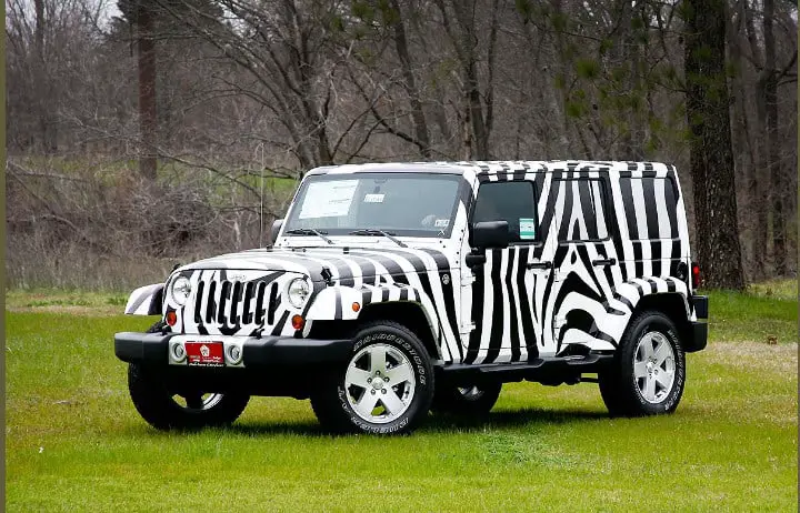 Zebra design Car Wrapping Design