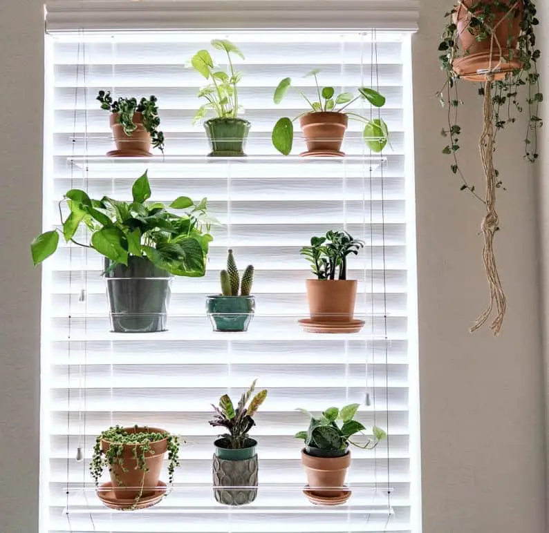 Acrylic Window Plant Shelf