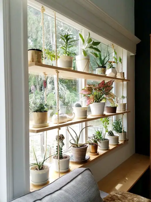 Big Window Plant Shelf