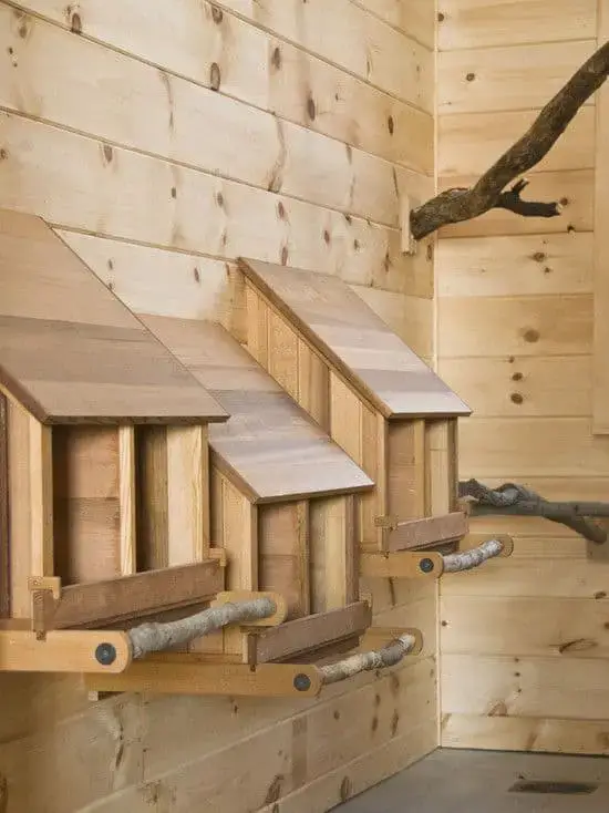 Branches Chicken Roost Ideas