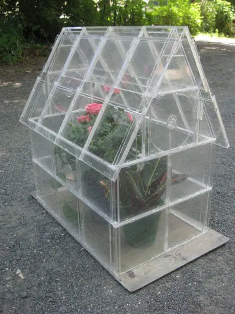 CD-Case Mini Greenhouse