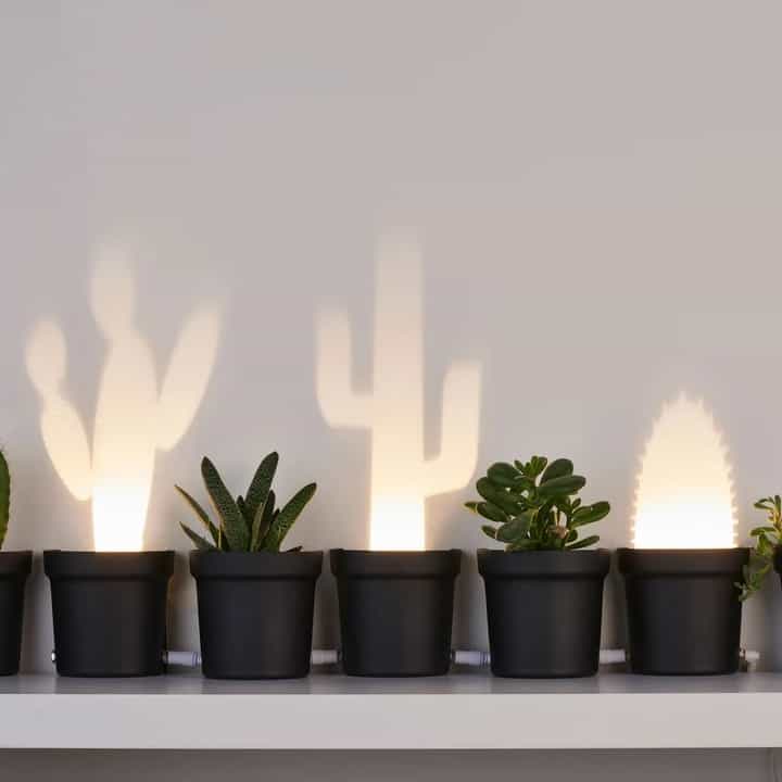 Cactus Cool Lamps