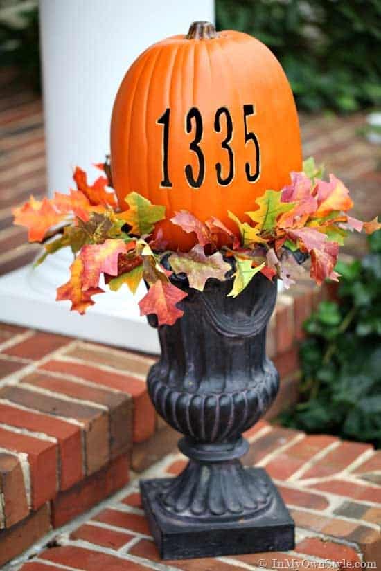 Carving My Address on Pumpkin