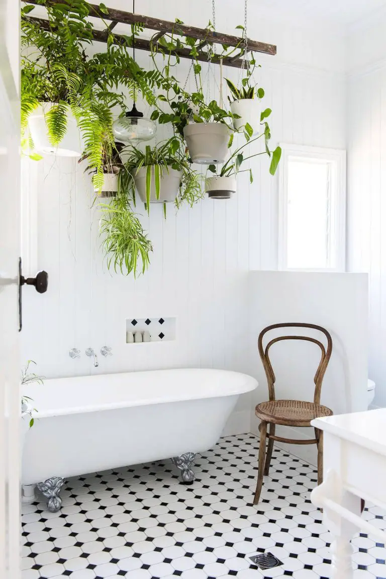 Charming Indoor Plant Décor for the Fancy Bathroom
