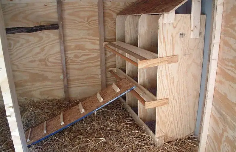 34 Epic Chicken Roost Ideas For A Lovely Chicken's Bed