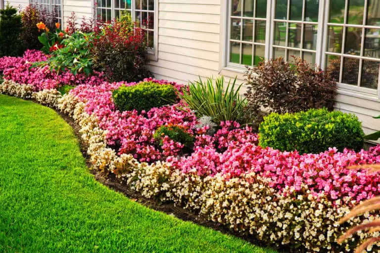 Colorful Flower Bed Ideas
