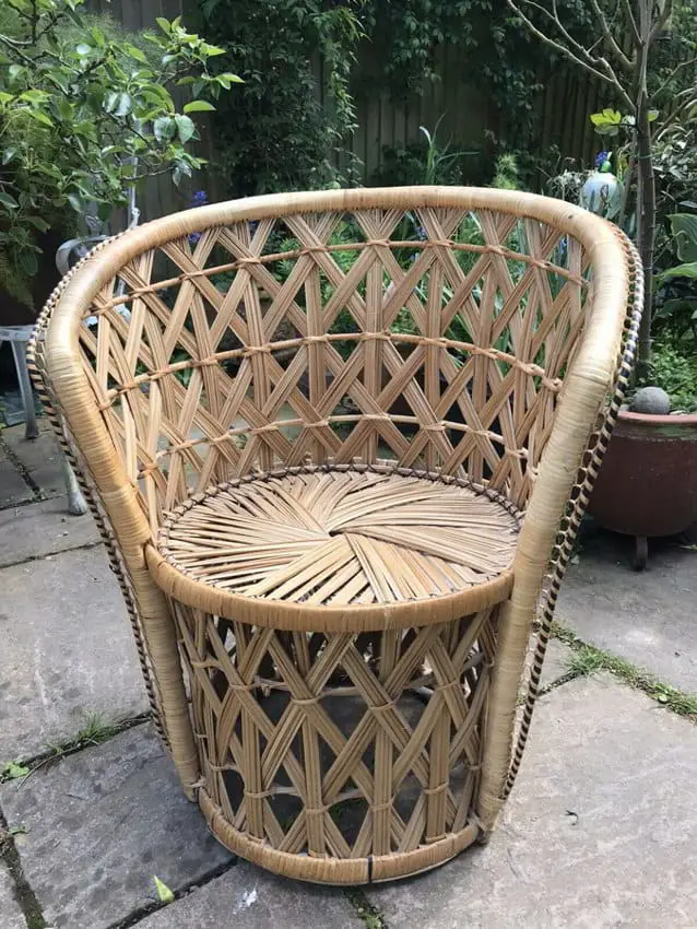 Compact Peacock Chair
