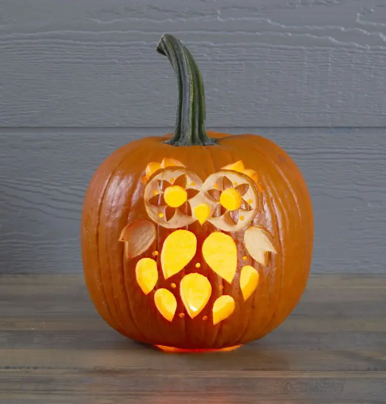 Cute Owl Carving Pumpkin Ideas