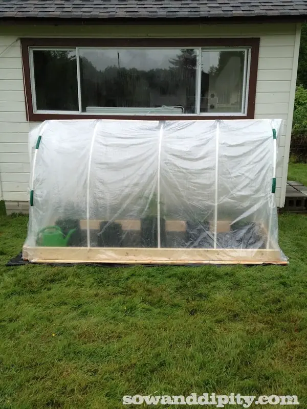 DIY 50$ Greenhouse 