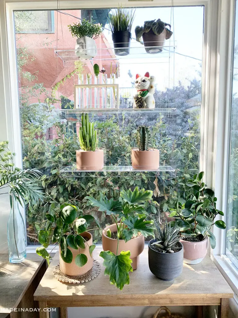 DIY Hanging Invisible Window Plant Shelf