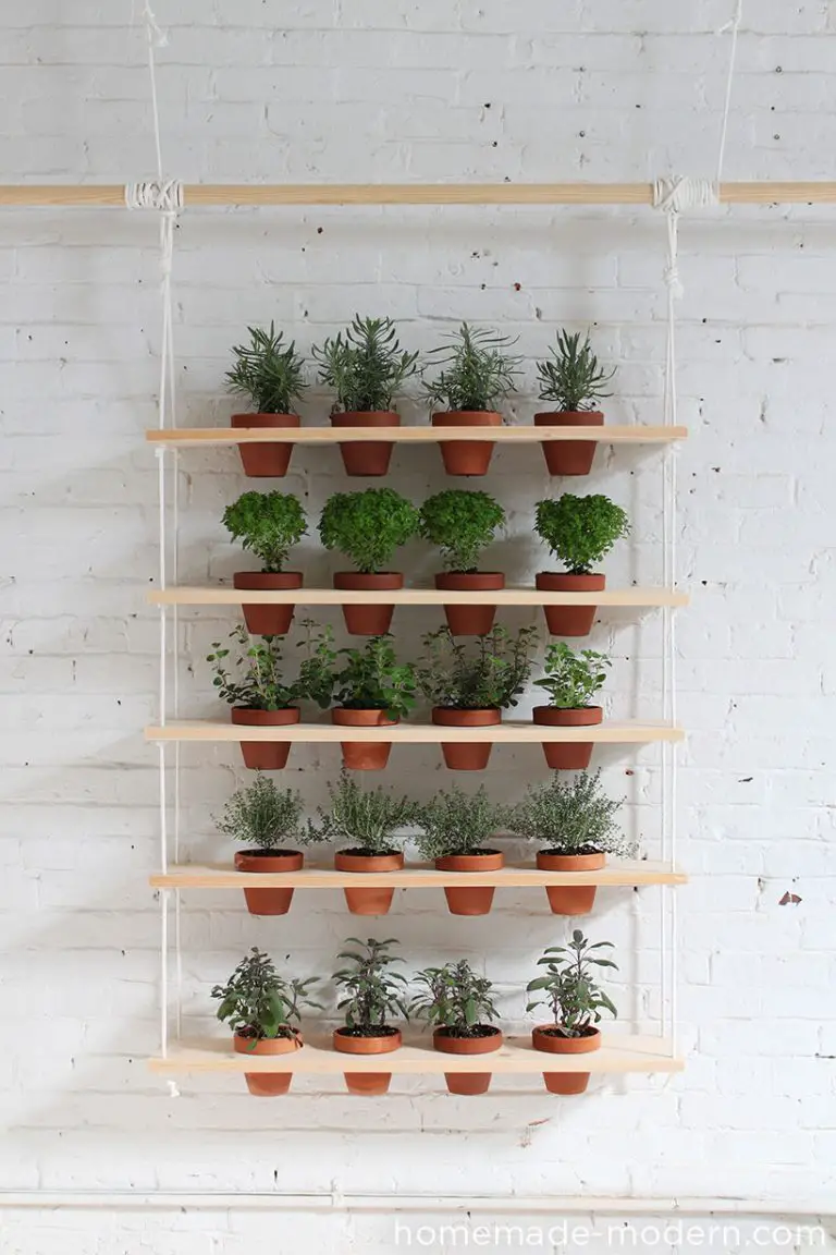 DIY Hanging Stand Plant