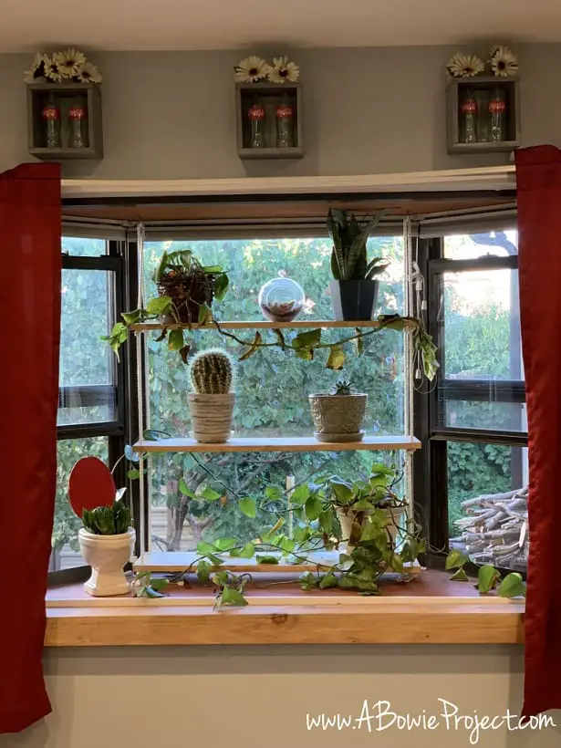 DIY Hanging Window Plant Shelf
