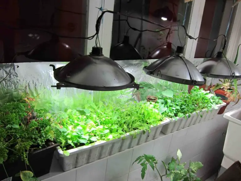 DIY Indoor Greenhouse by the Window