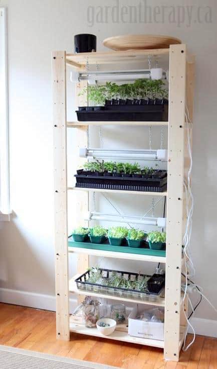 DIY Indoor Greenhouse with Light