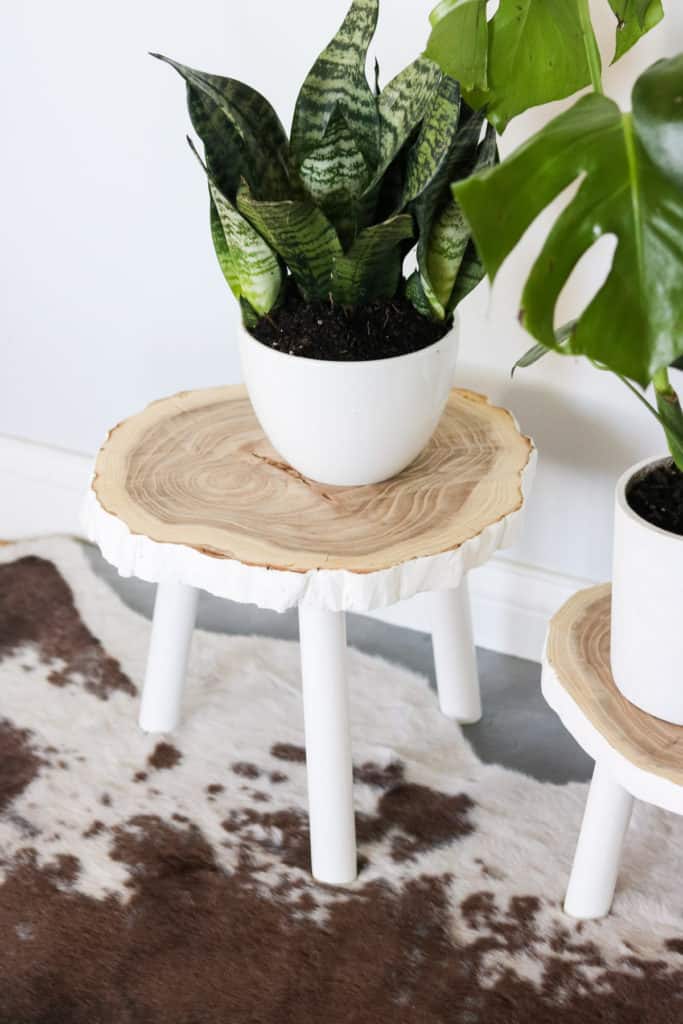 DIY Cheap Plant Stand