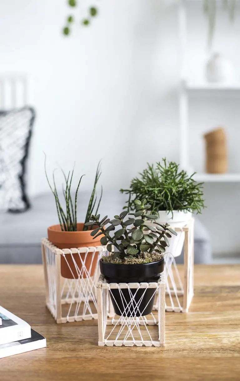 DIY Mini Decorative Plant Stand