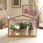 DIY Mini Elegant Indoor Greenhouse