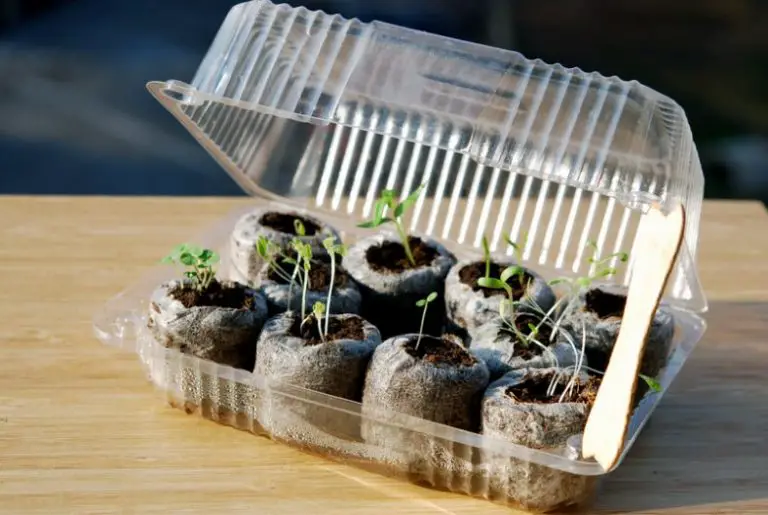 DIY Mini Low-Cost Greenhouse