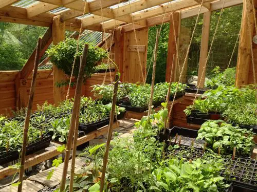 DIY Natural Greenhouse