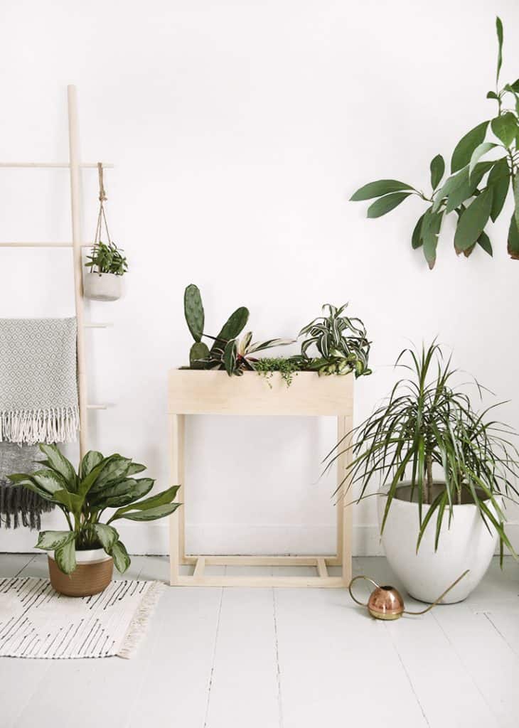 DIY Plant Box Stand Ideas