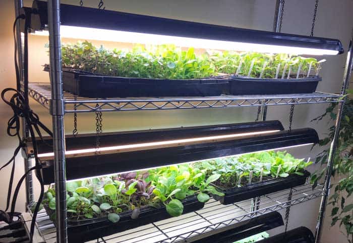 DIY Plant Light Stand