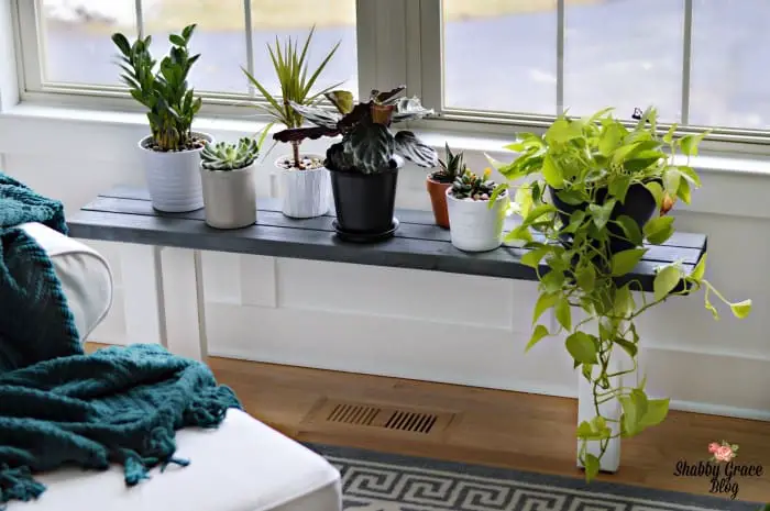 DIY Plant Stand By the Window