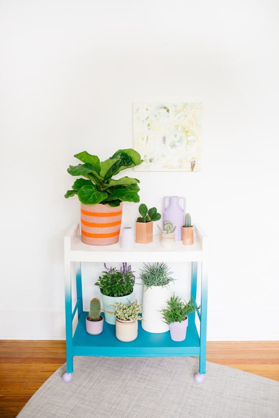 DIY Plant Stand On the Wheels