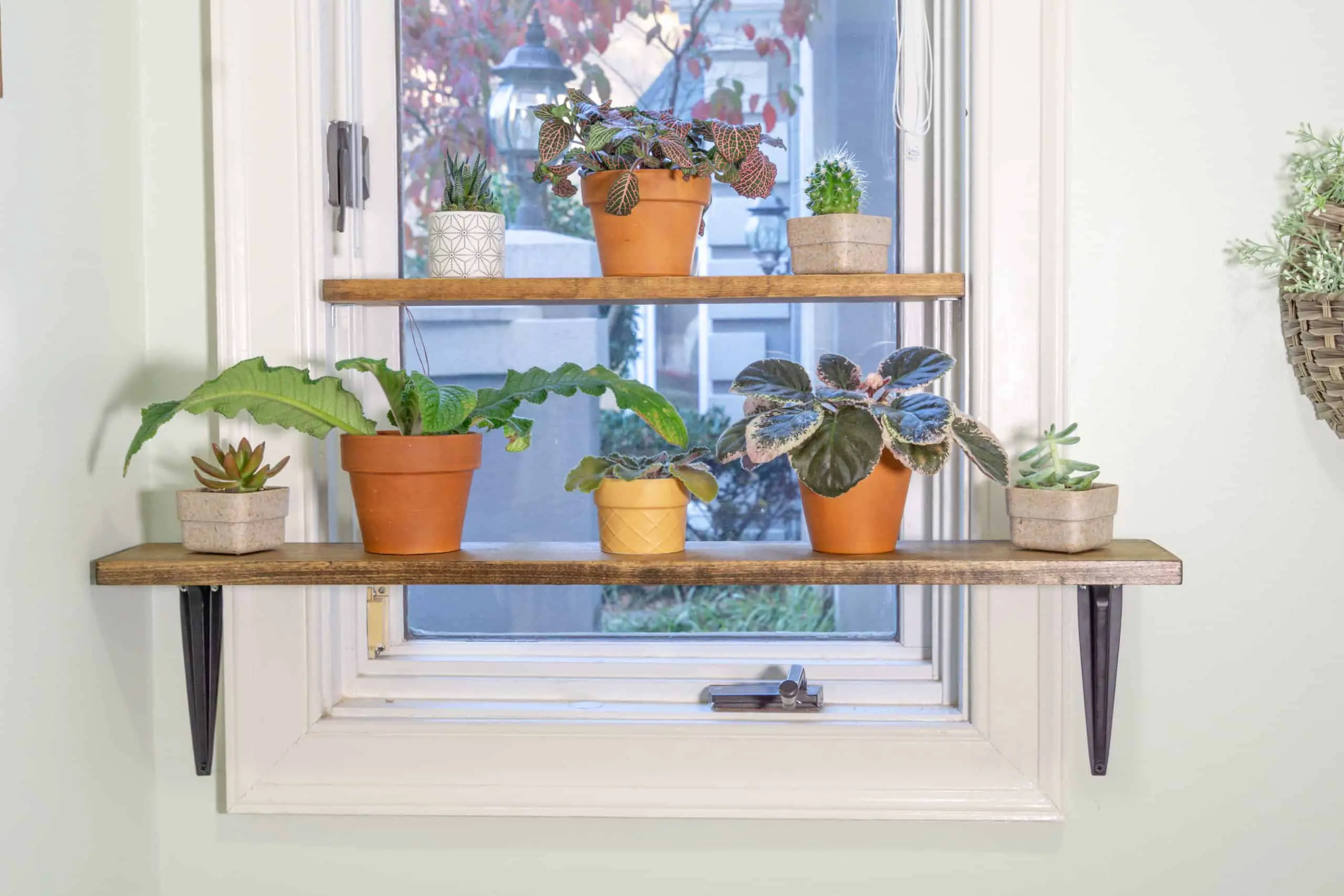 DIY Simple Window Plant Shelf