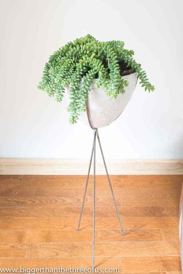 DIY Skinny Plant Stand