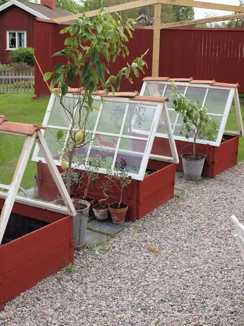 DIY Small Greenhouse