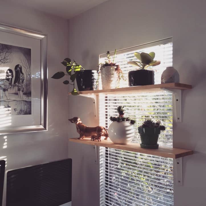 DIY Small Window Plant Shelf