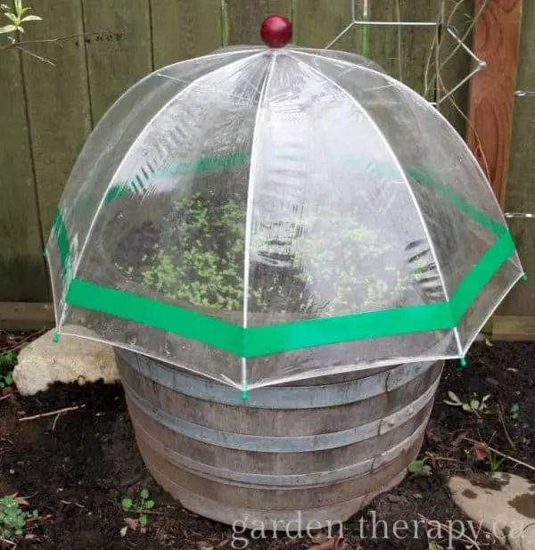 DIY Umbrella Greenhouse