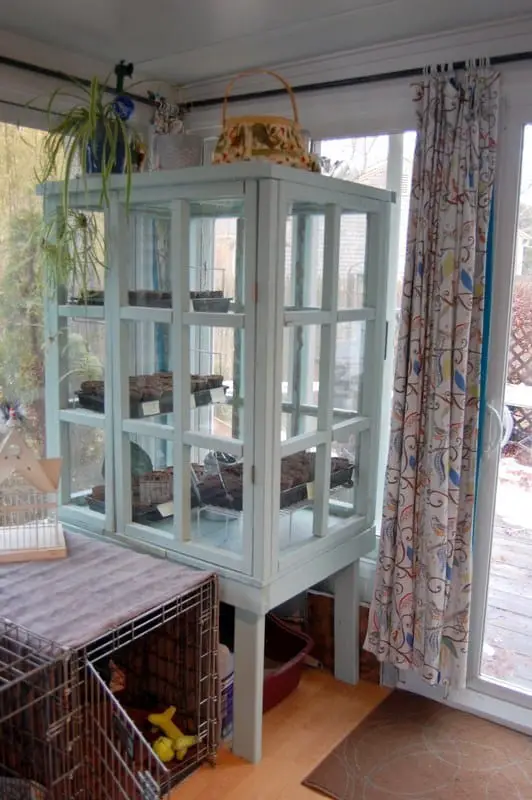 DIY Vintage Indoor Greenhouse 