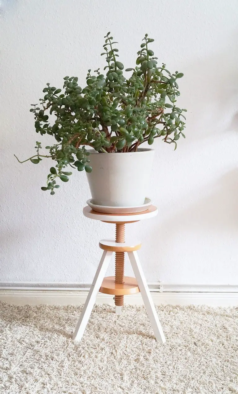 DIY Wood Plant Stand