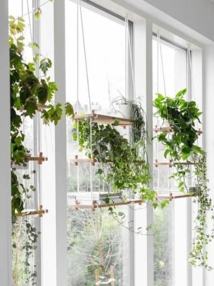 Floating Window Plant Shelf