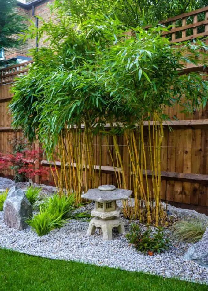 Japanese Garden Corner Ideas