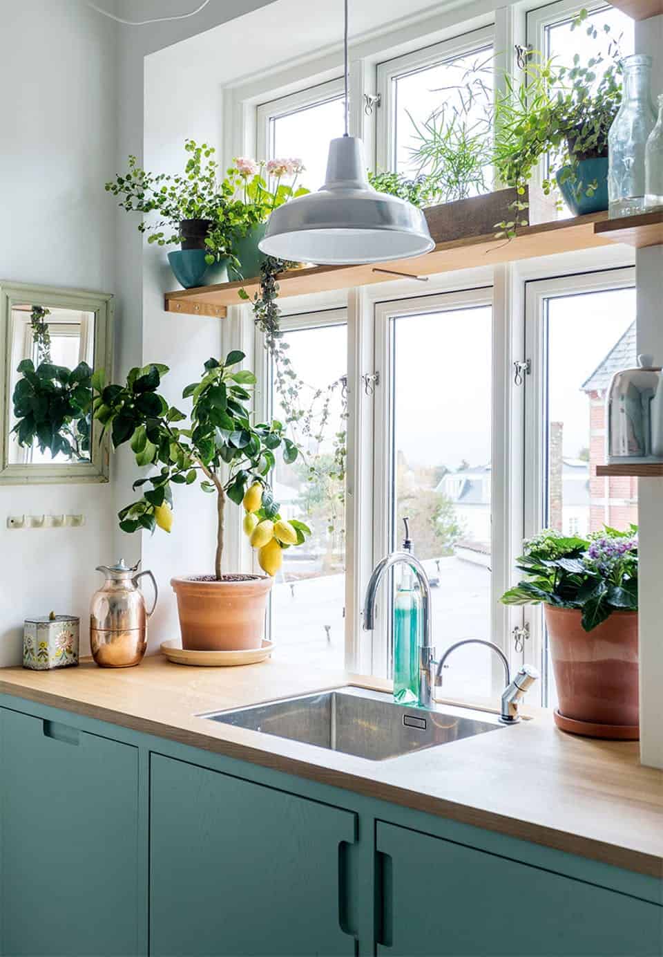 Kitchen Sink Window Plant Shelf