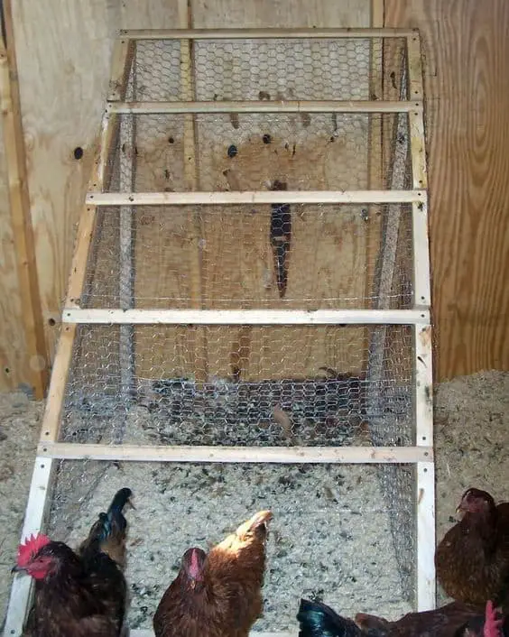 Ladder Chicken Roost Ideas With Wire Net
