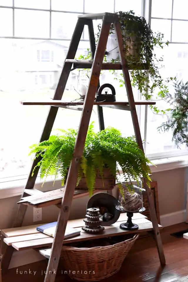 Ladder Plants Stand Shelves