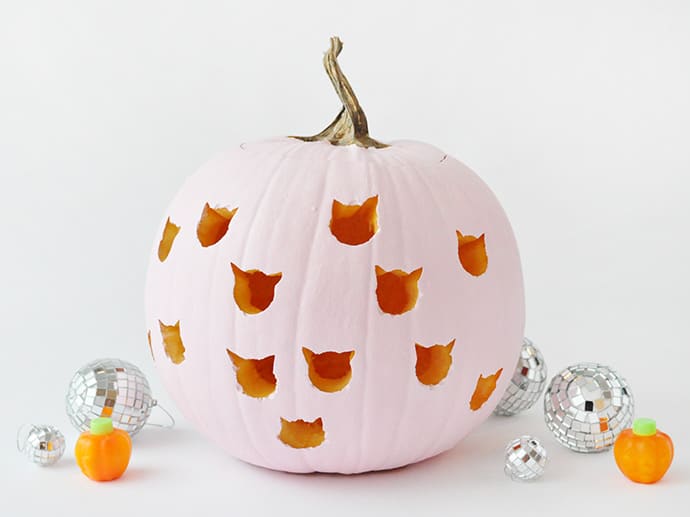 Mini Cats Carving Pumpkin Ideas