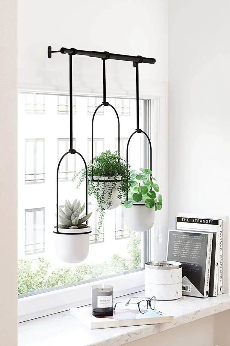 Modern Window Plant Shelf
