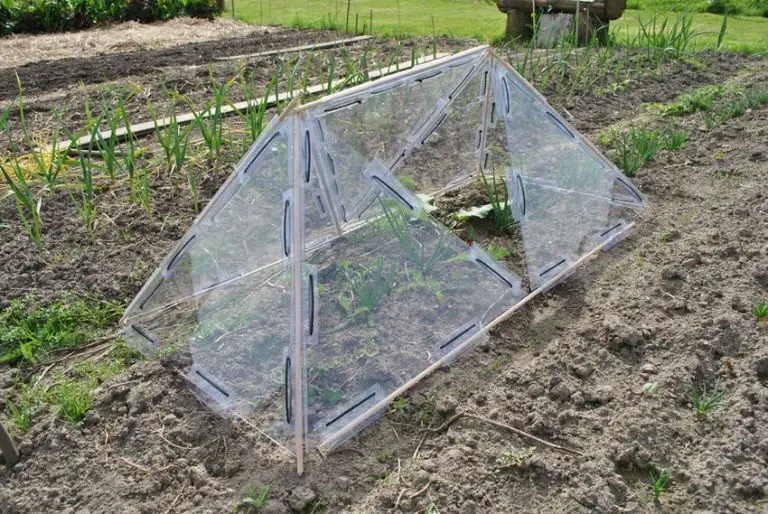 Modular Greenhouse