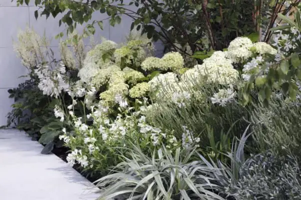 Neutral Plants Flower Bed Ideas