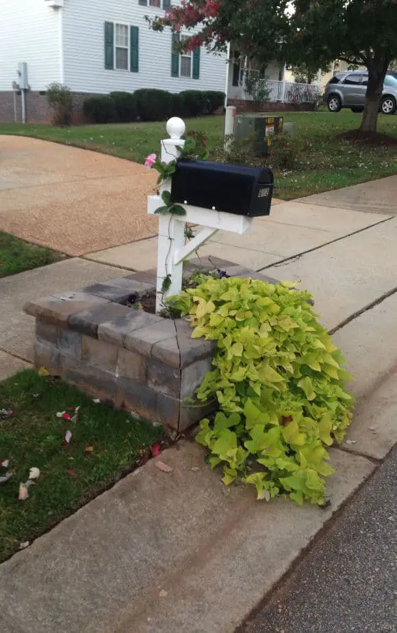 Overflowing Mailbox Landscaping Ideas