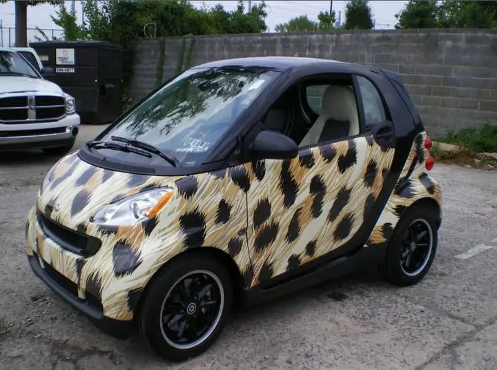 Cheetah design Car Wrapping Design