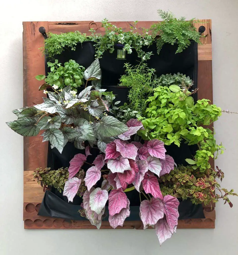 38 Adorable Indoor Wall Planters For Healthy And Pretty Room