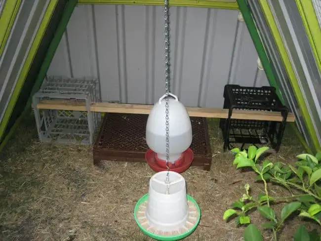 Portable Chicken Roost Ideas