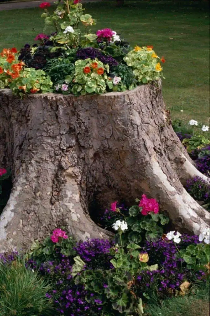 Repurposed Tree Stump Flower Bed Ideas