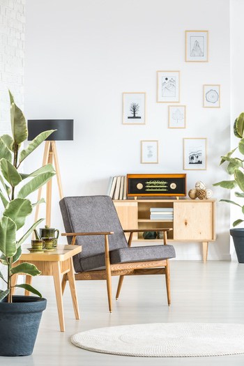 Retro Furniture With Scandinavian Designer