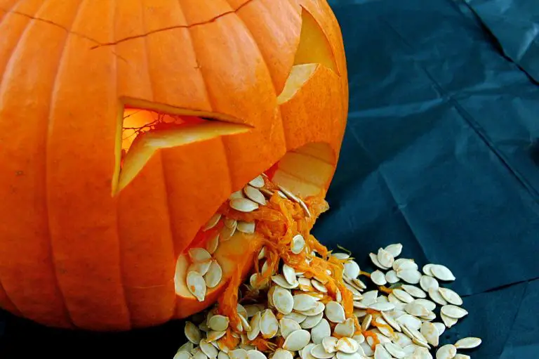 Sick Carving Pumpkin
